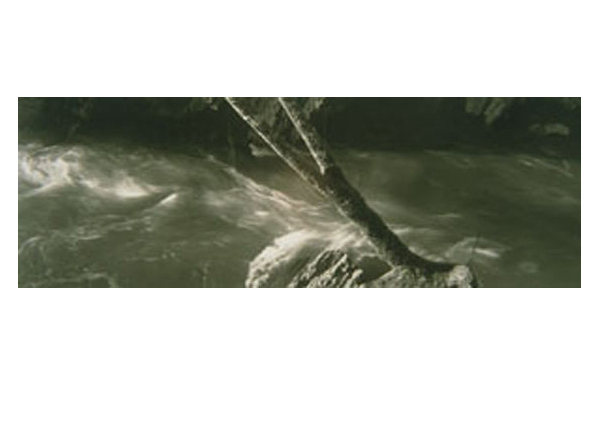 Mary Peck | Goblin Gates, Elwha River, Olympic Peninsula 
