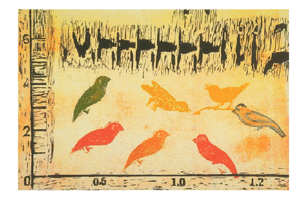 Elizabeth Sandvig | Seven Vivid Canaries/One Song (sonogram)
