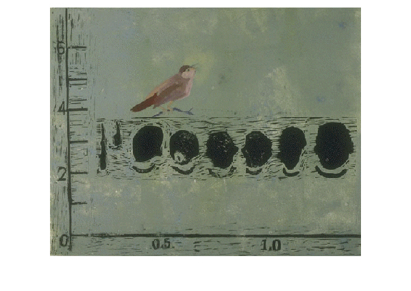 Elizabeth Sandvig | Nightingale Song (sonogram) 
