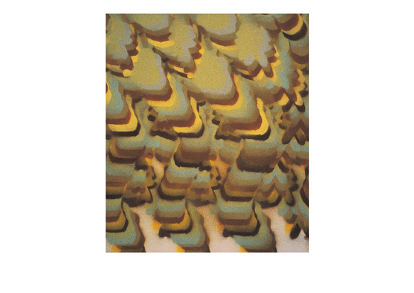 Susan Dory | Untitled #3