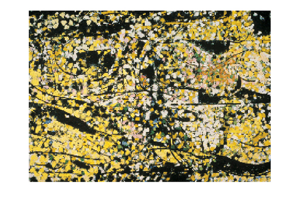 Robert C. Jones | Studio, Yellow