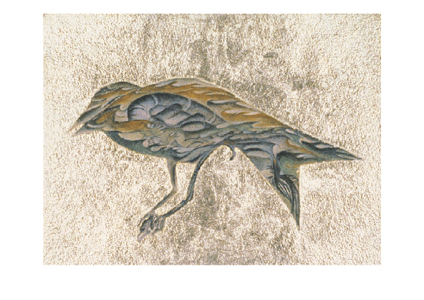 Barbara Earl Thomas | Swift Water Bird Series