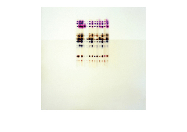 Jaq Chartier | L. Hyacinth + Gray C