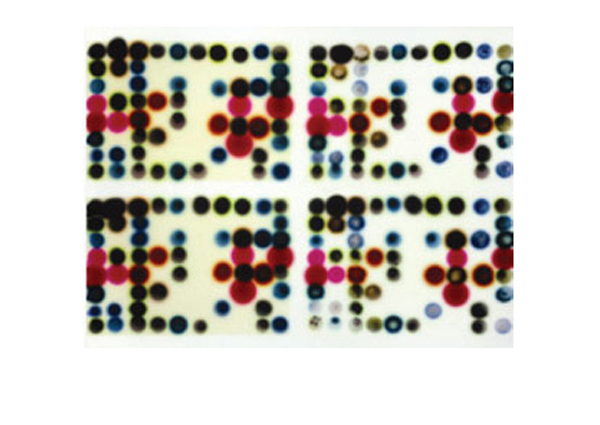 Jaq Chartier | Reactions (RGB)