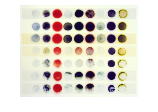 Jaq Chartier | Chart w/9 Stains