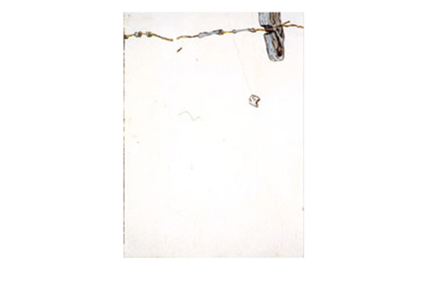 Blake Haygood | Prompt, Negotiable Diligence